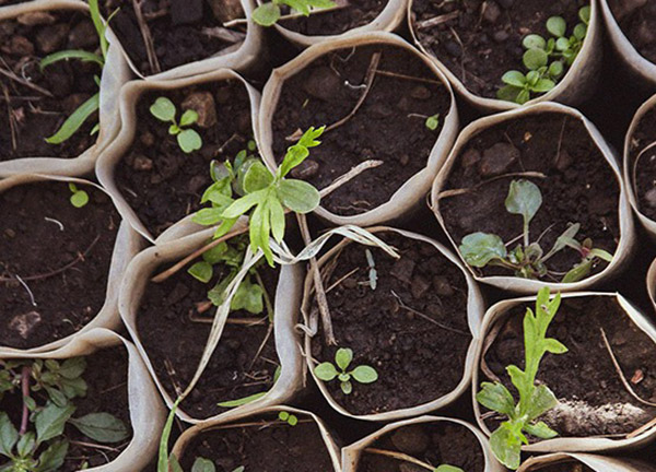 ¿Qué gel de afeitar es perfecto para ti?