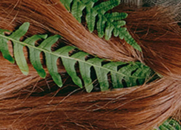 ¿Qué gel de afeitar es perfecto para ti?