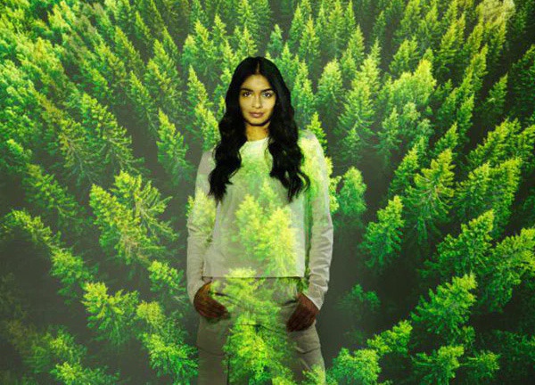 ¿Qué gel de afeitar es perfecto para ti?