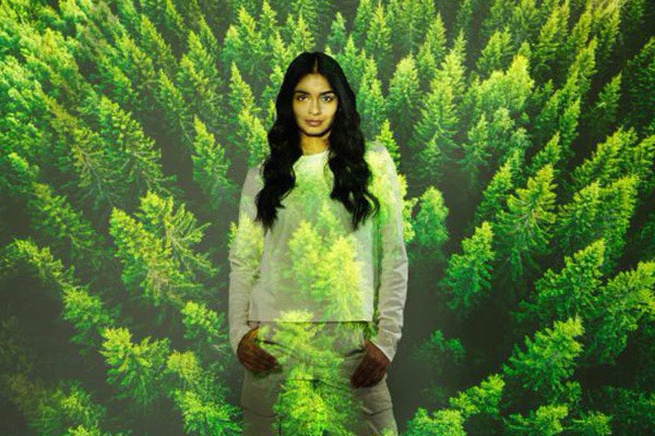 Protegemos la Tierra