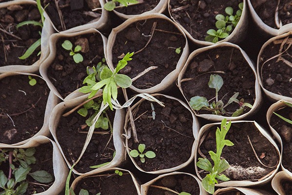 La Belleza Sostenible vuelve en este Green Friday